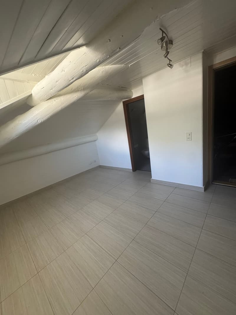 Affittasi monolocale mansardato a Bellinzona (3)