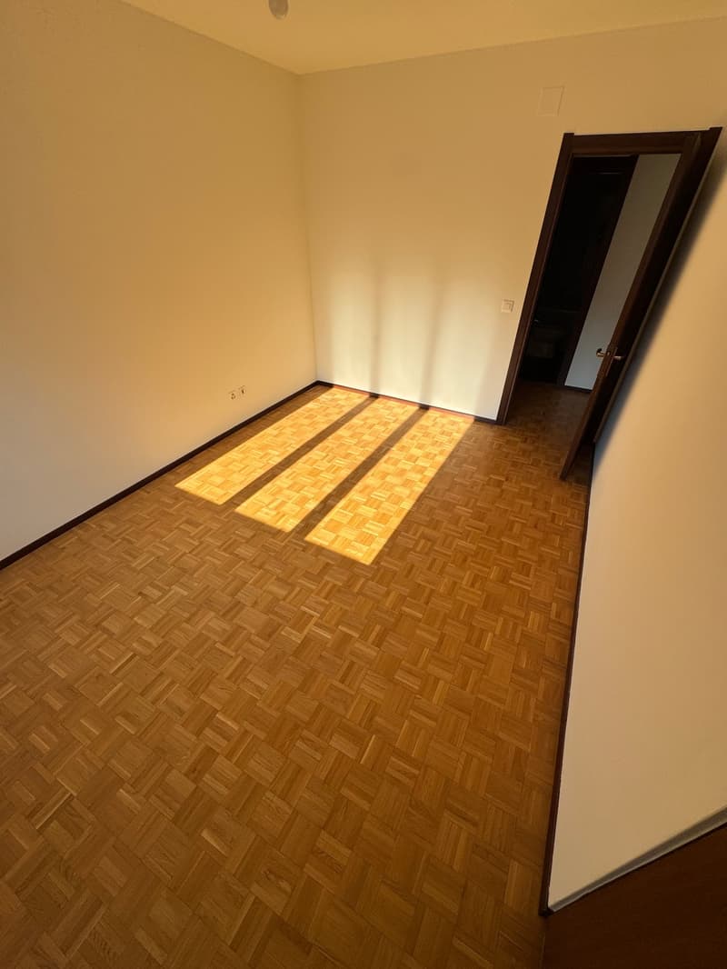 Luminoso appartamento di 2 1/2 locali con balcone e vista sulle montagne a Chiasso (4)
