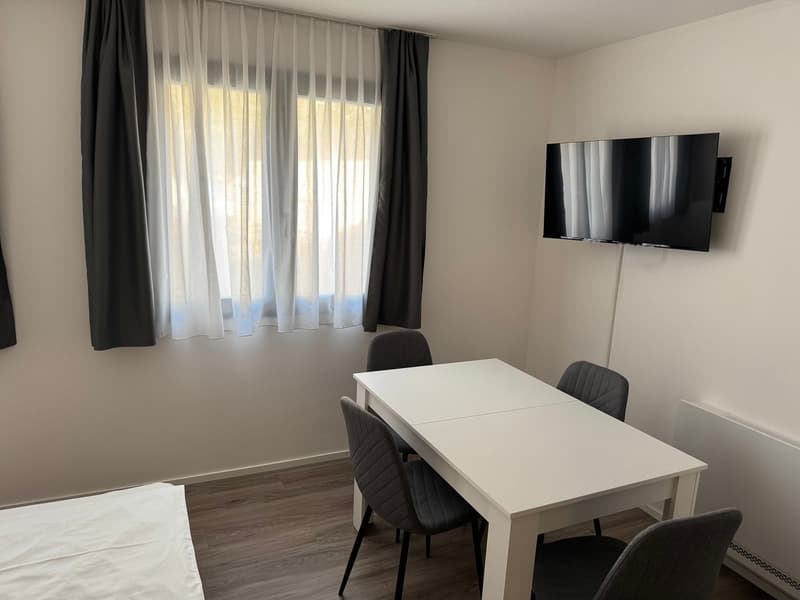 Monolocale arredato moderno a Riazzino – disponibile subito (4)