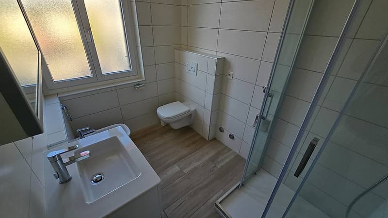 MENDRISIO - 2,5 Zimmer mit Terrasse (6)