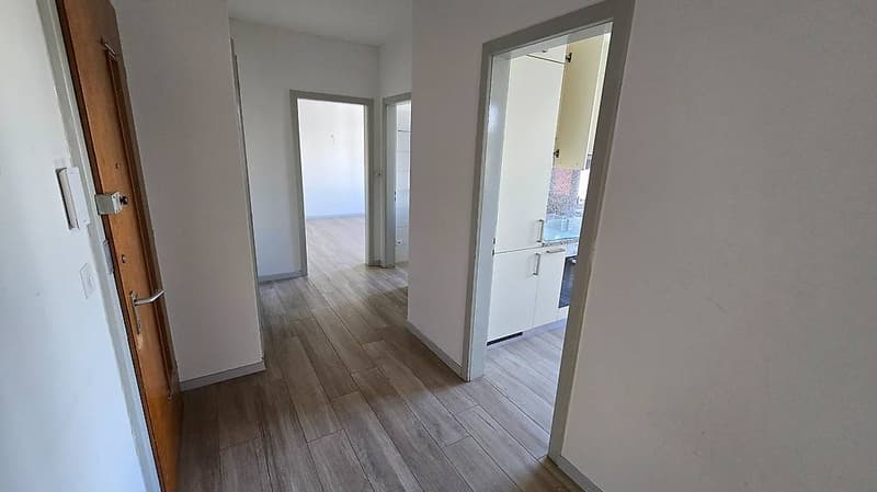 MENDRISIO - 2,5 Zimmer mit Terrasse (3)