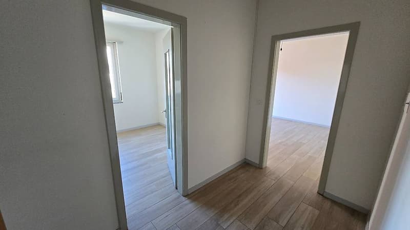 MENDRISIO - 2,5 Zimmer mit Terrasse (4)