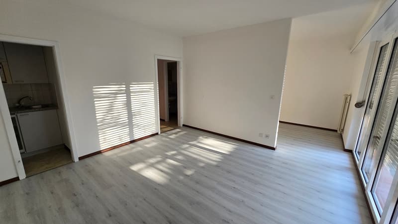 Cozy studio apartment with balcony in Vezia (4)