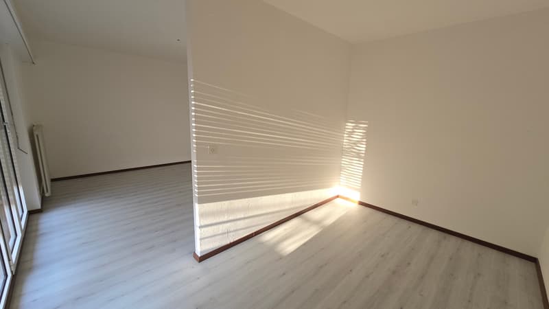 Cozy studio apartment with balcony in Vezia (5)