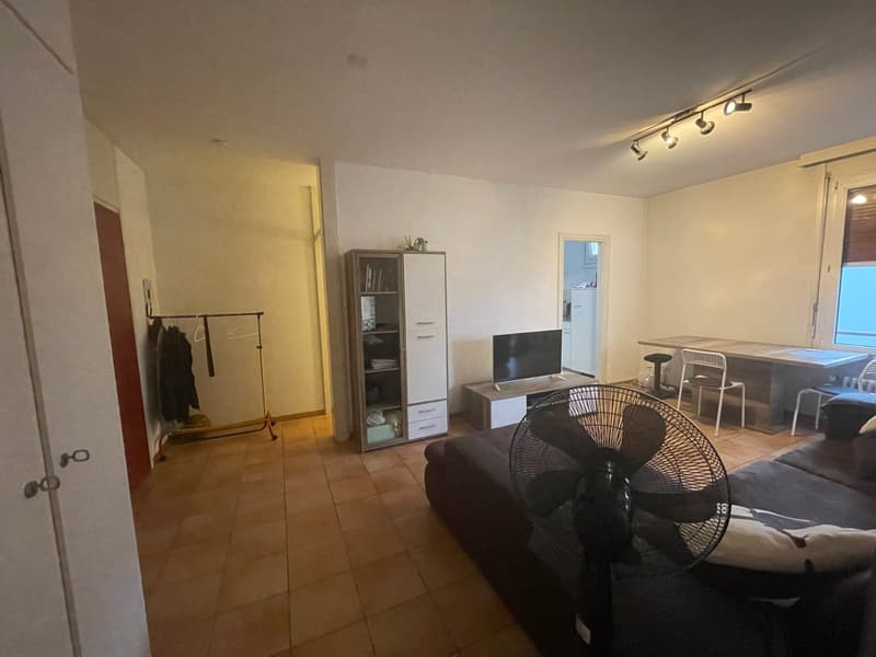 MASSAGNO - 2 locaux (8)
