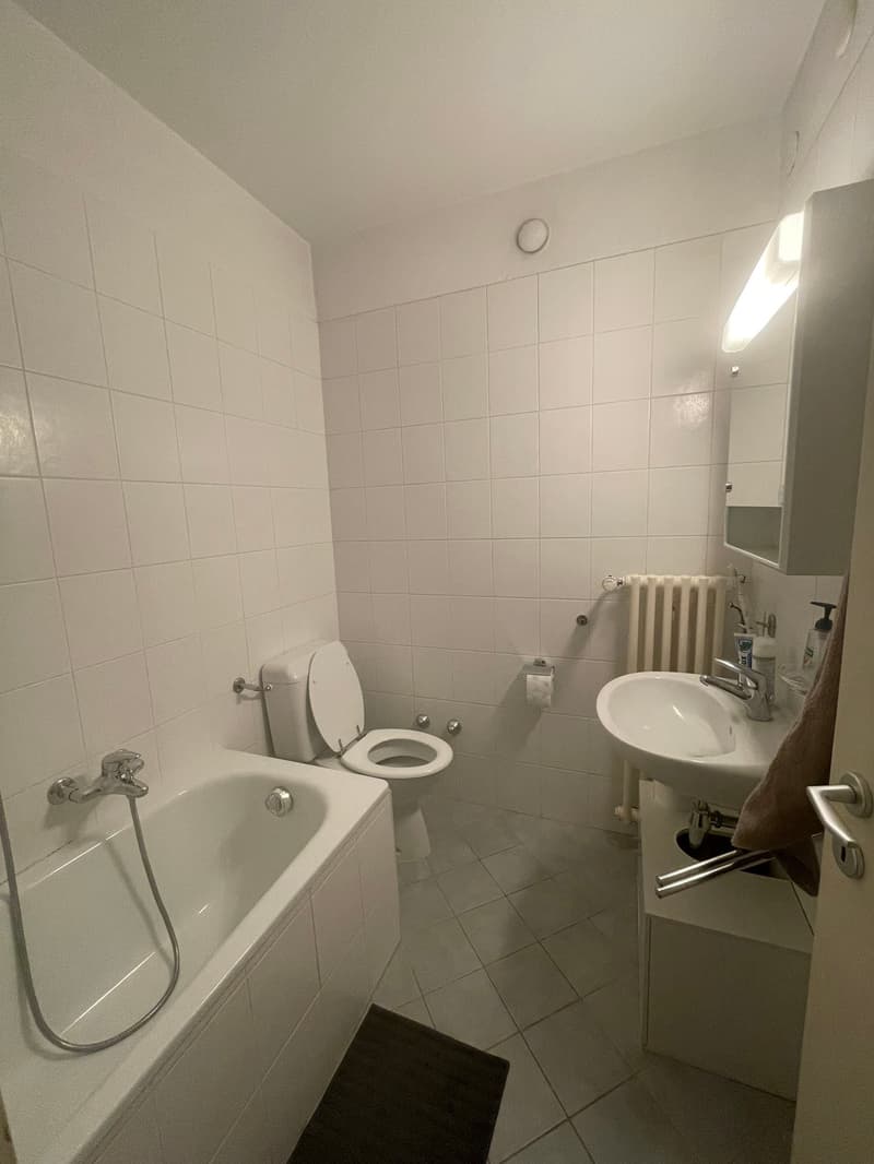 MASSAGNO - 2 locaux (2)