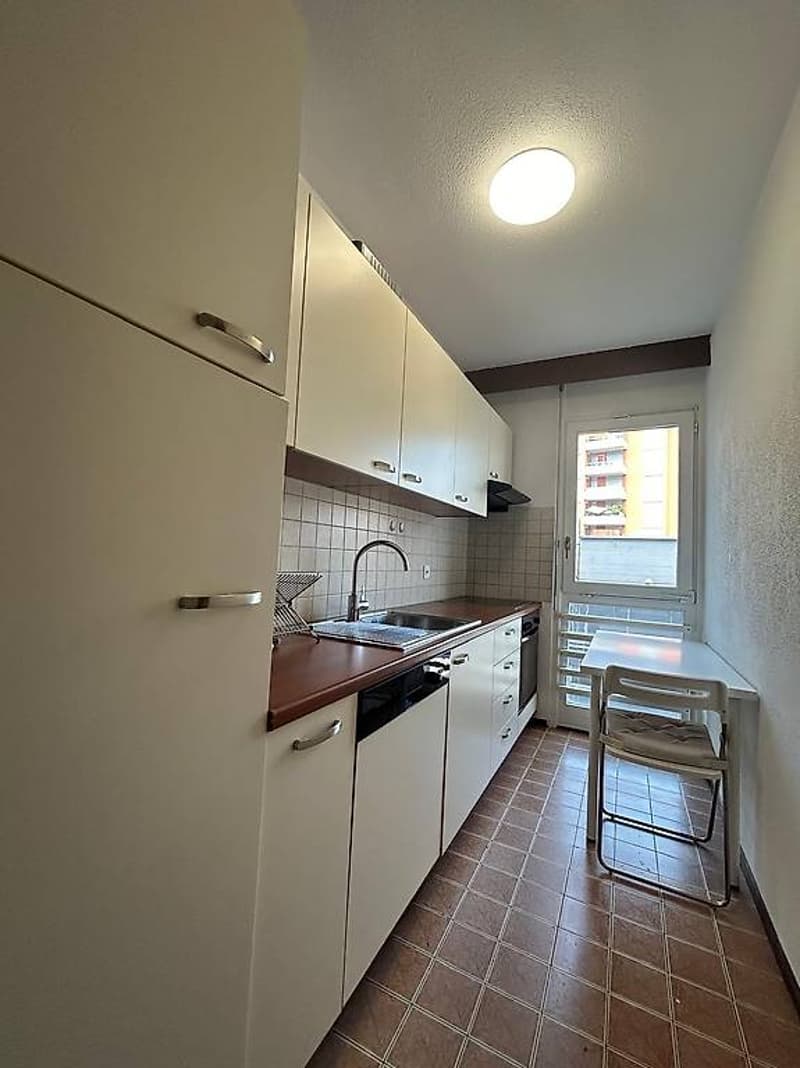 3.5 room apartment fully furnished in Chiasso (3)