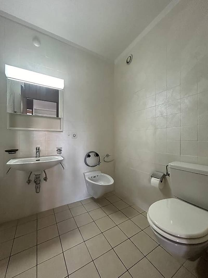 3.5 room apartment fully furnished in Chiasso (6)