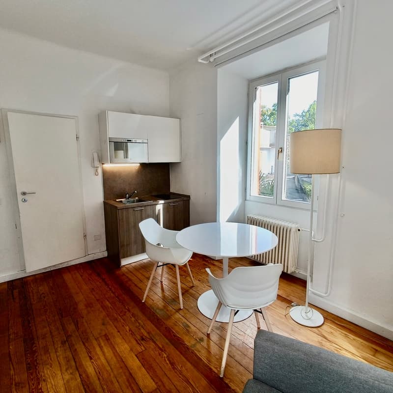 Maraini – eingerichtetes Einzimmerapartment (4-1) (1)