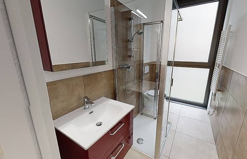 Stabile Zürich 22 - Einzimmerwohnung (P1 - 9) (3)