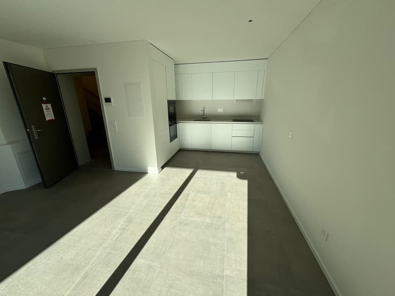 Nuova Residenza Le Fontane – 2.5 locali a Massagno – (piano 2 – 2B) (2)