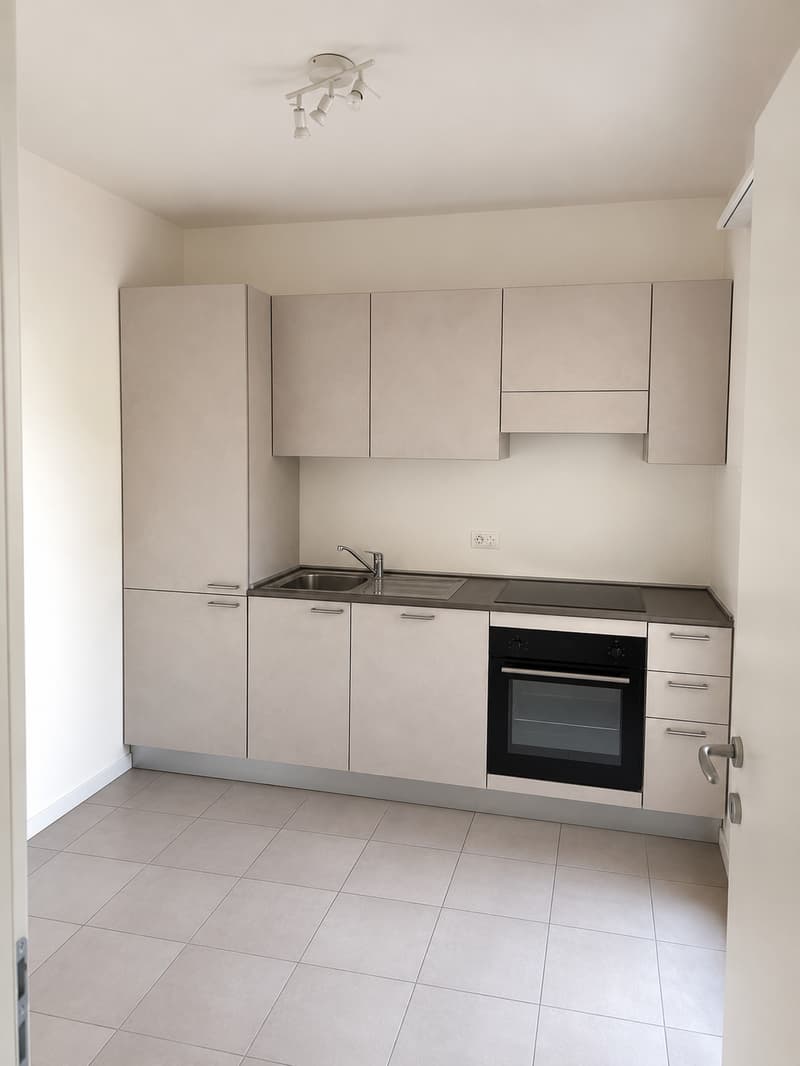 3,5 Zimmer in Pregassona renoviert (202-10) (2)