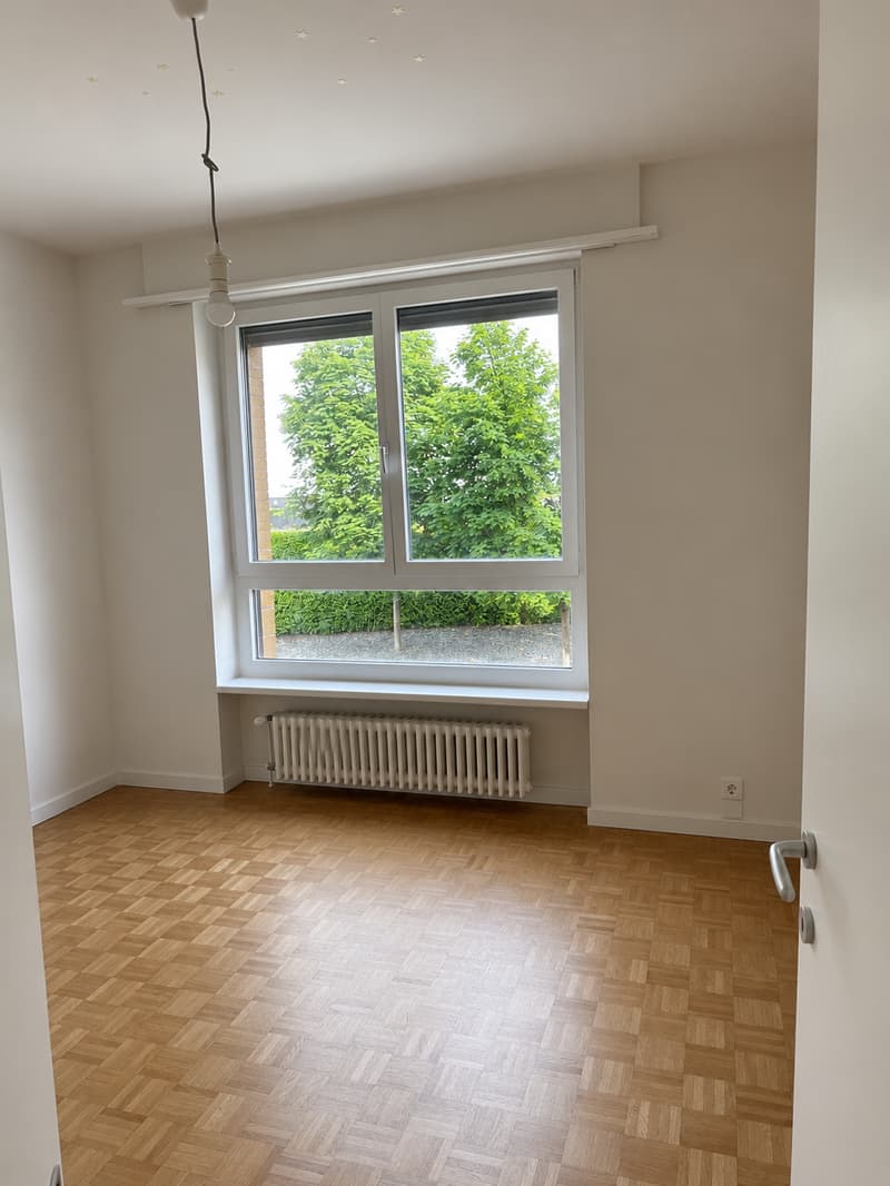 3,5 Zimmer in Pregassona renoviert (202-10) (4)