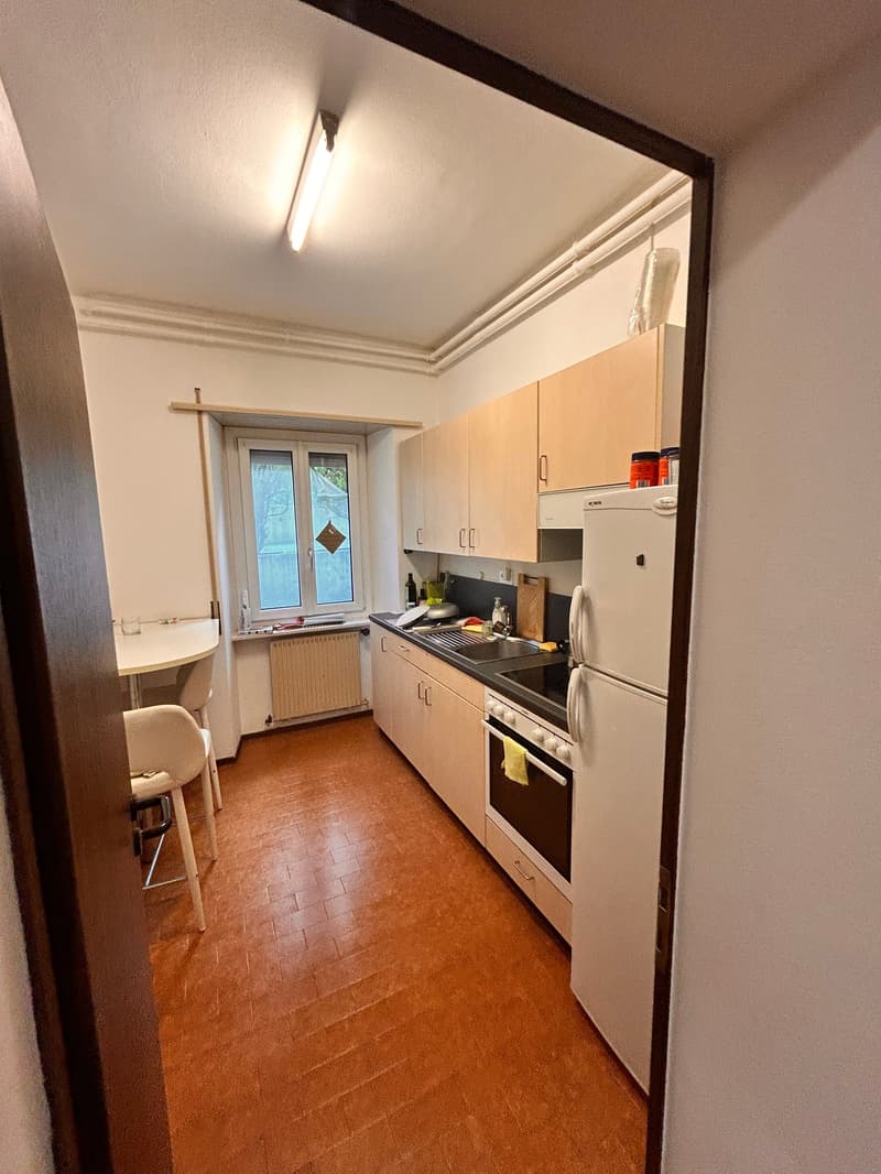 3-room apartment for rent in Lugano – Via Monte Bré (4)