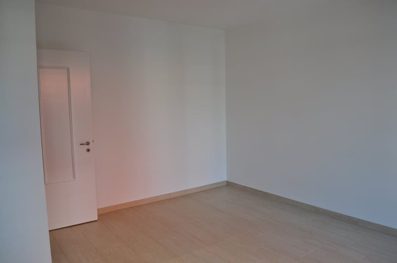 Monolocale parzialmente arredato a Lugano, disponibile subito (4)