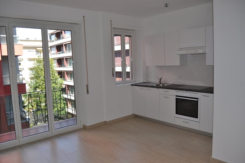 Monolocale parzialmente arredato a Lugano, disponibile subito (2)
