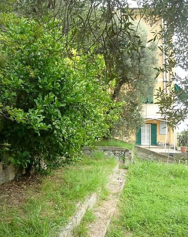 ARENZANO LIGURIA (5)