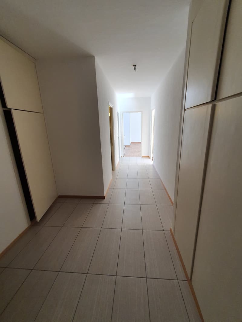Bright 2.5-room apartment in Vezia (7)