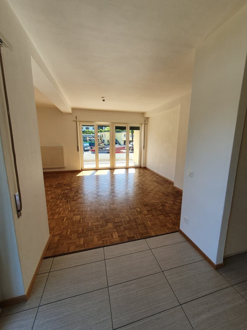 Bright 2.5-room apartment in Vezia (2)