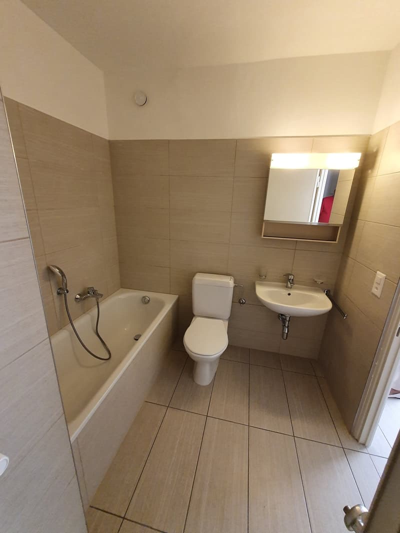 Bright 2.5-room apartment in Vezia (8)