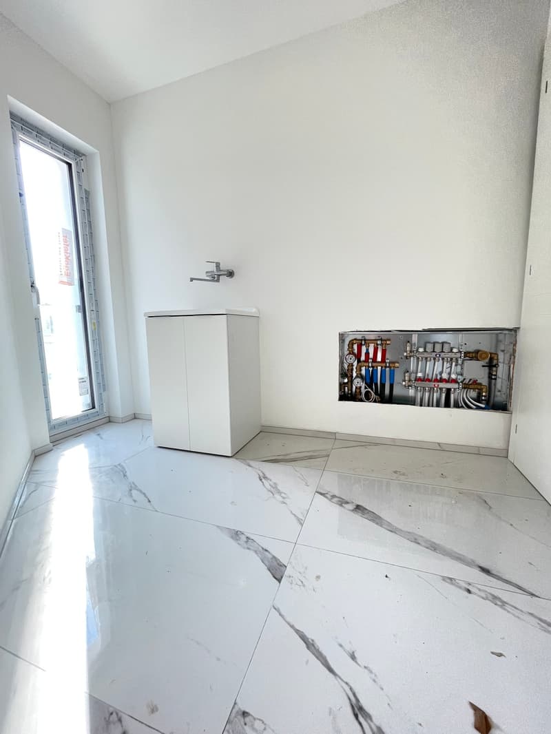 2,5 Zimmer neu mit Seeterrasse (4)