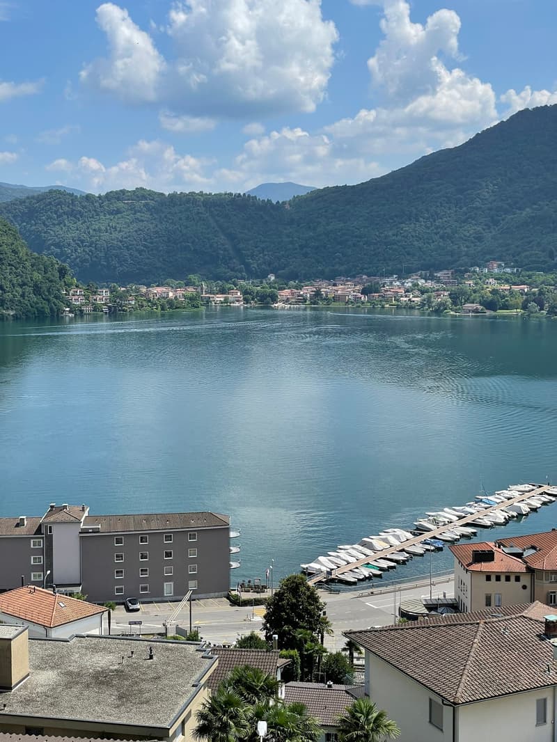 Modern 2.5-room apartment with lake view terrace in Ponte Tresa (3)