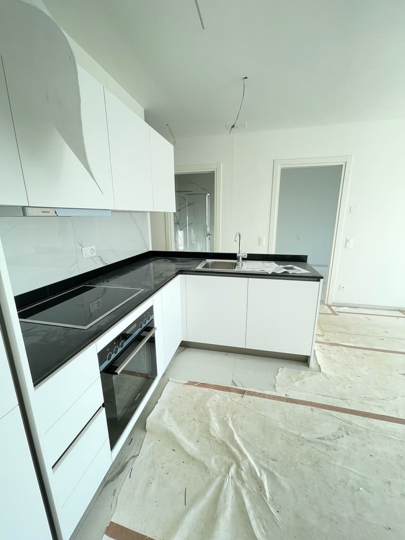 2,5 Zimmer neu mit Seeterrasse (9)