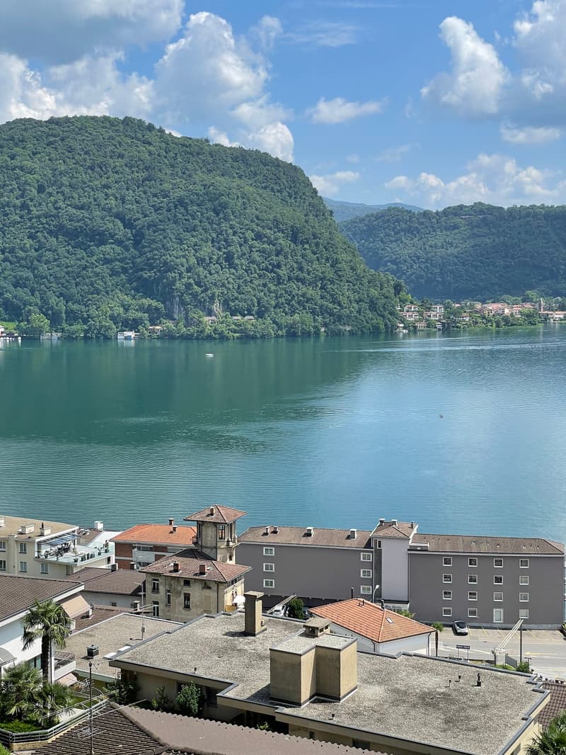Modern 2.5-room apartment with lake view terrace in Ponte Tresa (4)