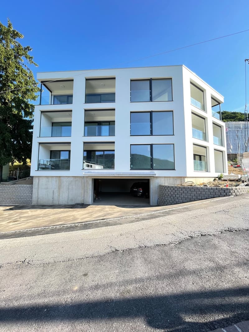 2,5 Zimmer neu mit Seeterrasse (2)