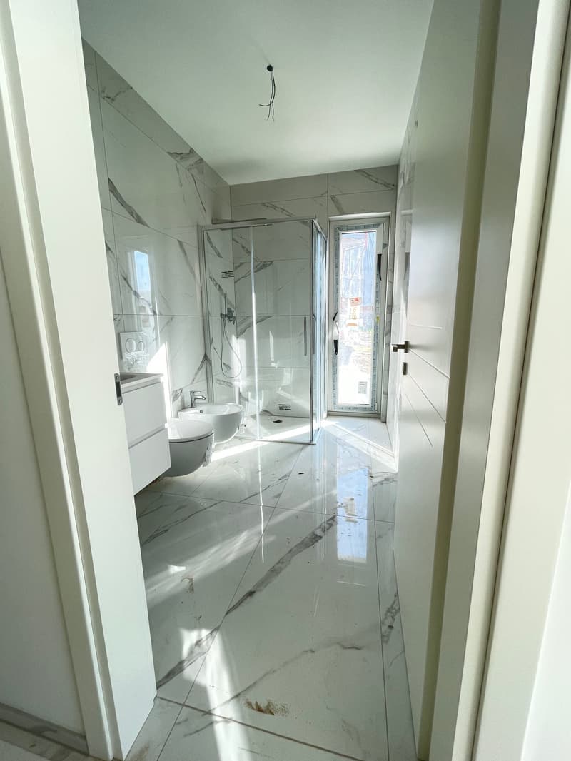2,5 Zimmer neu mit Seeterrasse (3)