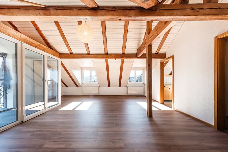 Wooden beam ceiling, white walls, wooden floor, large sliding glass doors, skylight windows, radiators, mirror