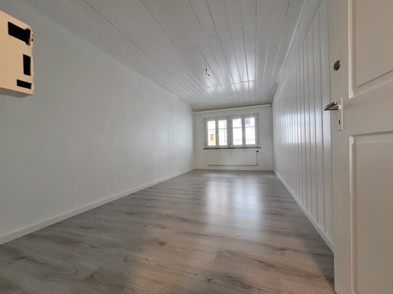 First-time rental - 4-room attic apartment + mansard room (12)