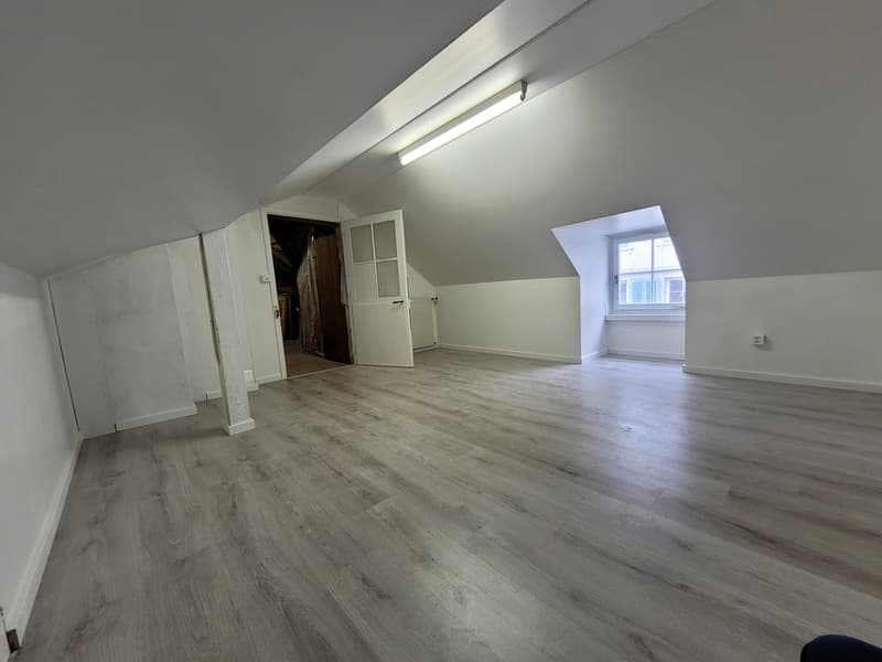 First-time rental - 4-room attic apartment + mansard room (16)