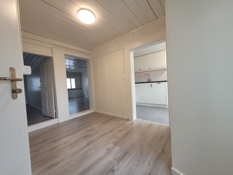 First-time rental - 4-room attic apartment + mansard room (14)