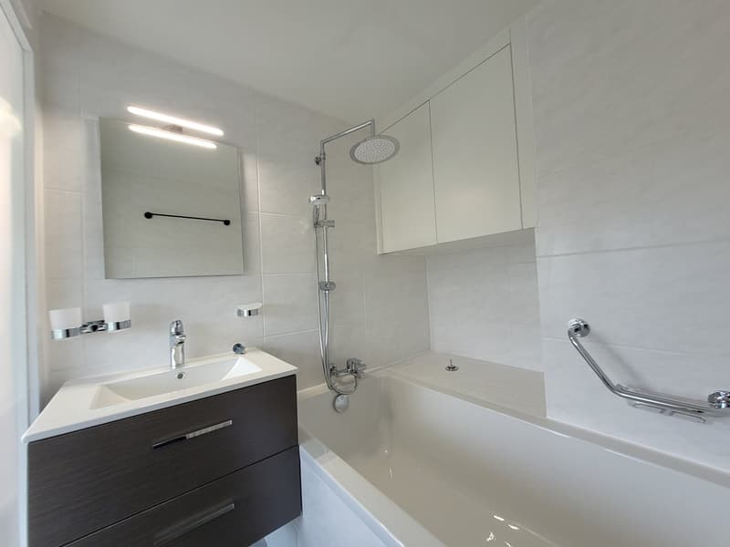 First-time rental - 4-room attic apartment + mansard room (3)