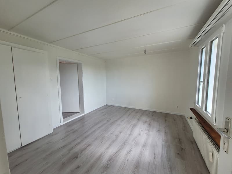 First-time rental - 4-room attic apartment + mansard room (10)