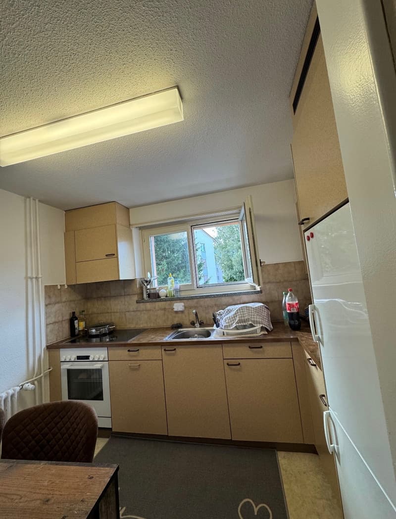 Appartement lumineux 3 pièces avec balcon à Buchs SG (3)