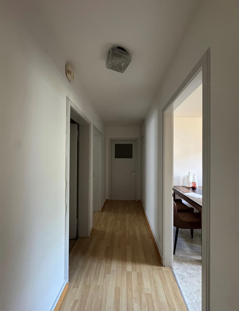 Appartement lumineux 3 pièces avec balcon à Buchs SG (4)