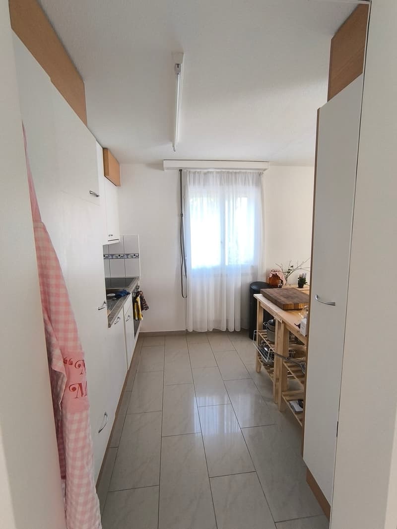 Appartamento 3.5 locali con balcone a Schmitten (13)