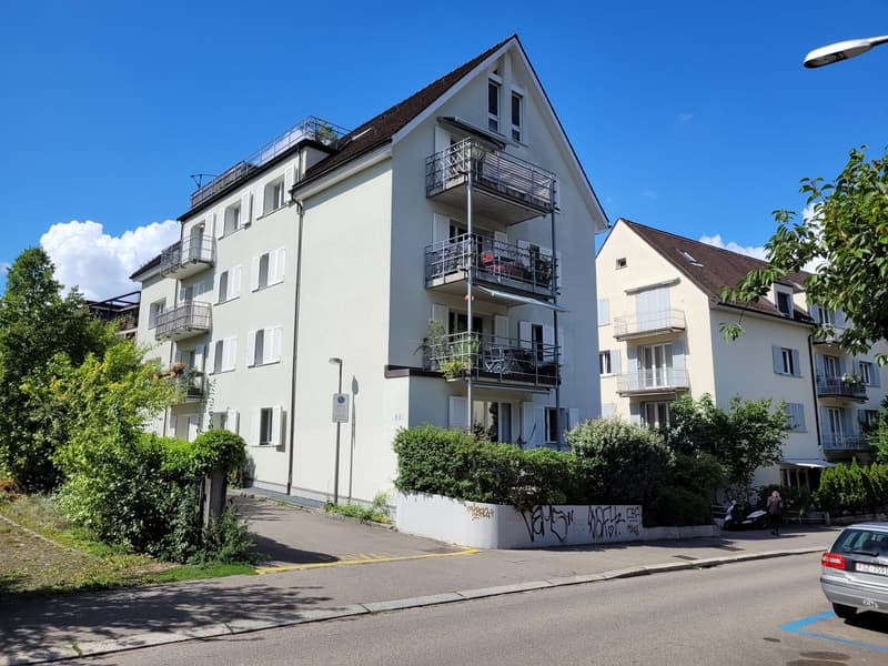 Spacieuse maisonette de 5,5 pièces avec terrasse, balcon et beaucoup de charme (1)