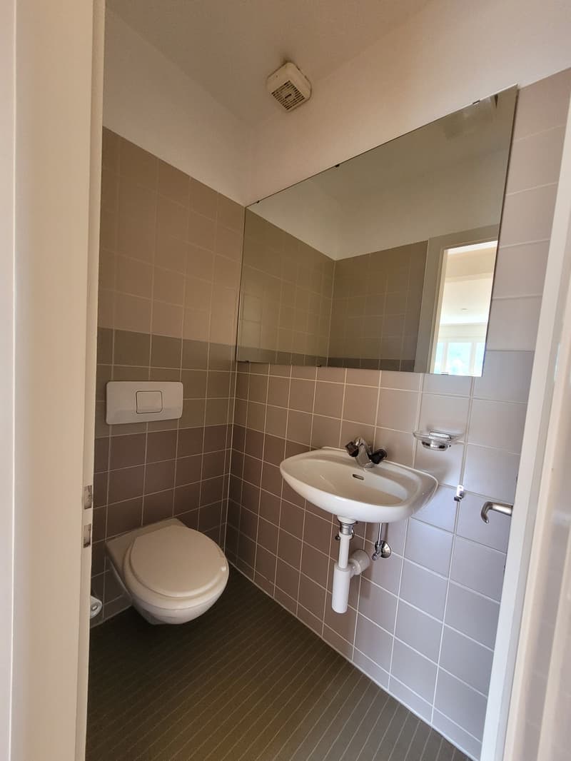 Spacieuse maisonette de 5,5 pièces avec terrasse, balcon et beaucoup de charme (6)