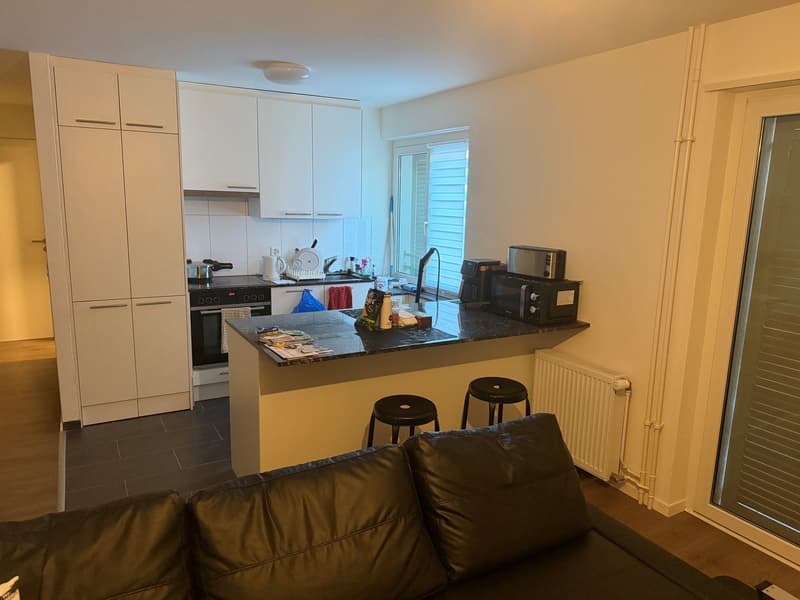 Gemütliche 2-Zimmer-Wohnung im Erdgeschoss in Glattbrugg (5)