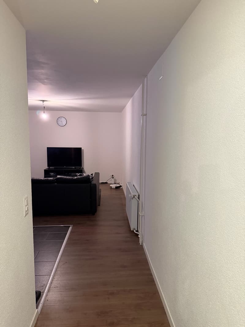 Gemütliche 2-Zimmer-Wohnung im Erdgeschoss in Glattbrugg (3)