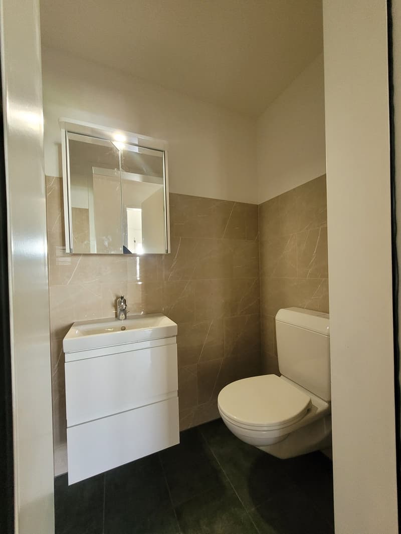 First rental after total renovation quiet location (10)