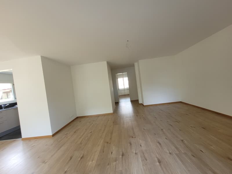 First rental after total renovation quiet location (2)