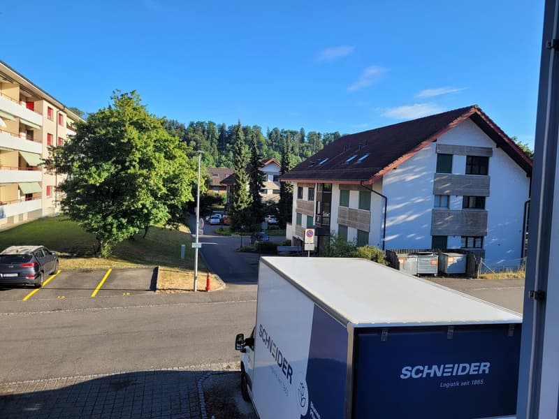 First rental after total renovation quiet location (1)
