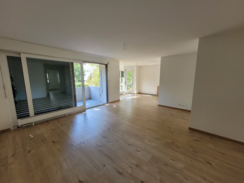 First rental after total renovation quiet location (3)