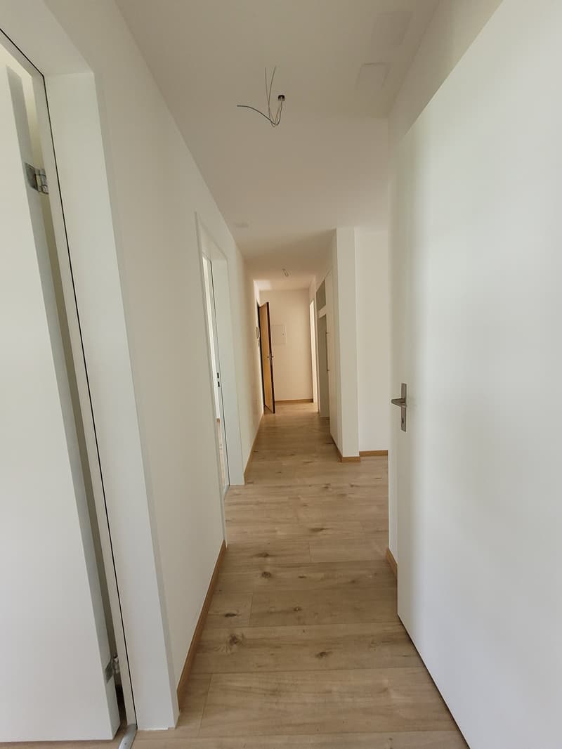 First rental after total renovation quiet location (11)