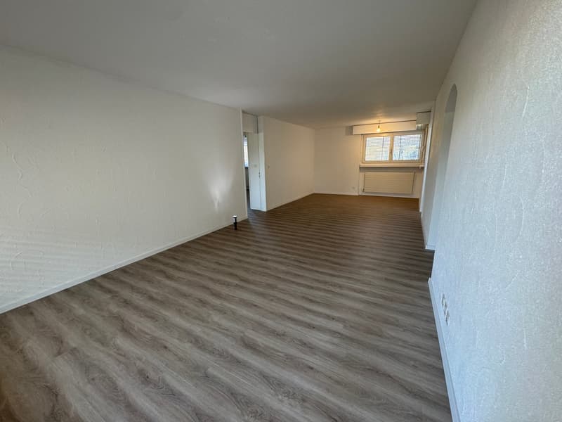 neu renovierte Wohnung, privater Waschturm (5)