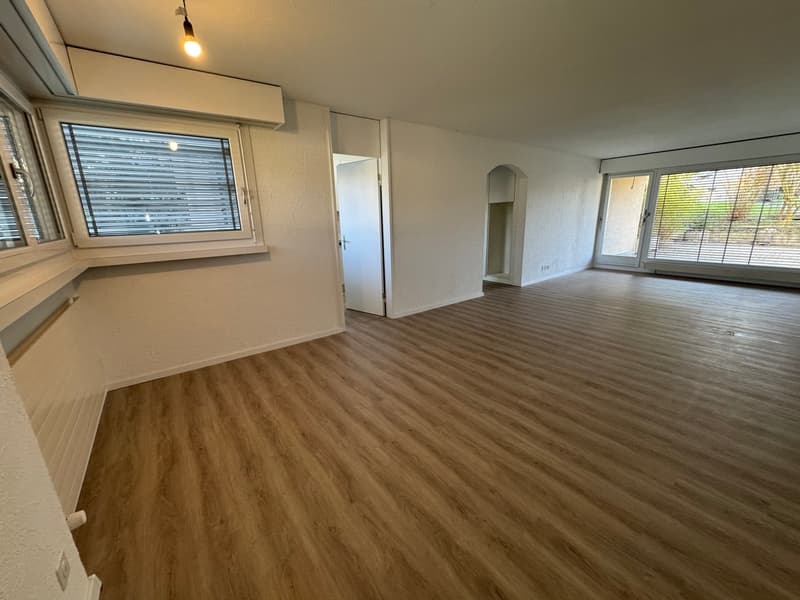 neu renovierte Wohnung, privater Waschturm (13)